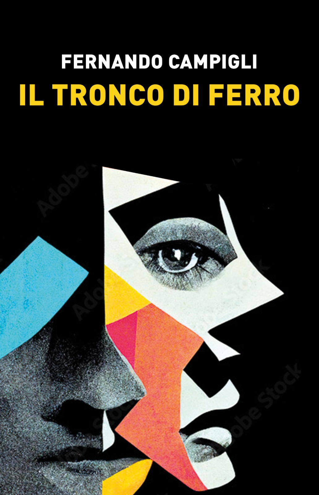 Presentazione del romanzo ” Il tronco di Ferro” di Fernando Campigli